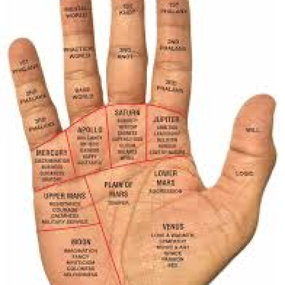 hast rekha, palmistry